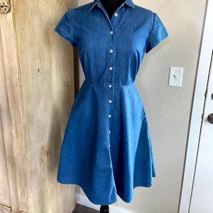 Vintage 90s Denim Fit & Flare Button Down Dress